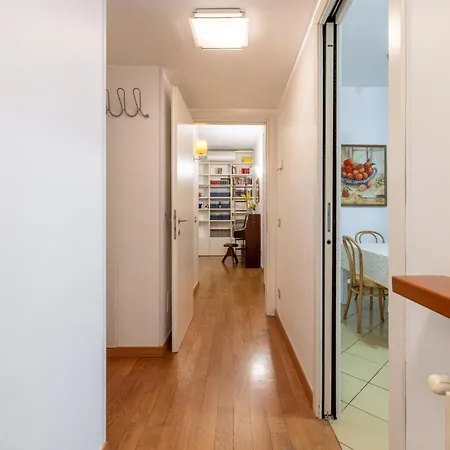 Vatican Garden By Varental